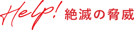 HELP!絶滅の脅威