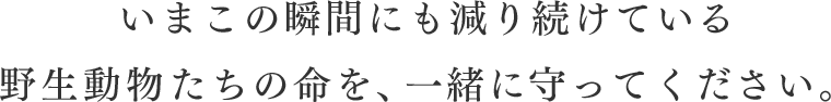 いまこの瞬間にも減り続けている野生動物たちの命を、一緒に守ってください。