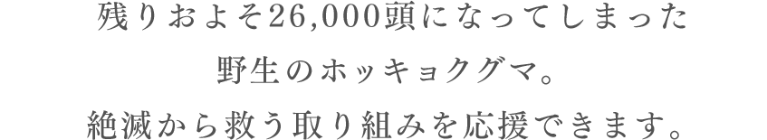 残りおよそ26,000頭になってしまった野生のホッキョクグマ。500円/月で絶滅から救う取り組みを応援できます。