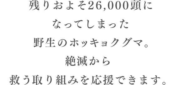 残りおよそ26,000頭になってしまった野生のホッキョクグマ。500円/月で絶滅から救う取り組みを応援できます。