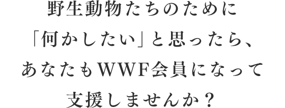 野生動物たちのために「何かしたい」と思ったら、あなたもWWF会員になって支援しませんか？