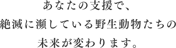 あなたの支援で、絶滅に瀕している野生動物たちの未来が変わります。