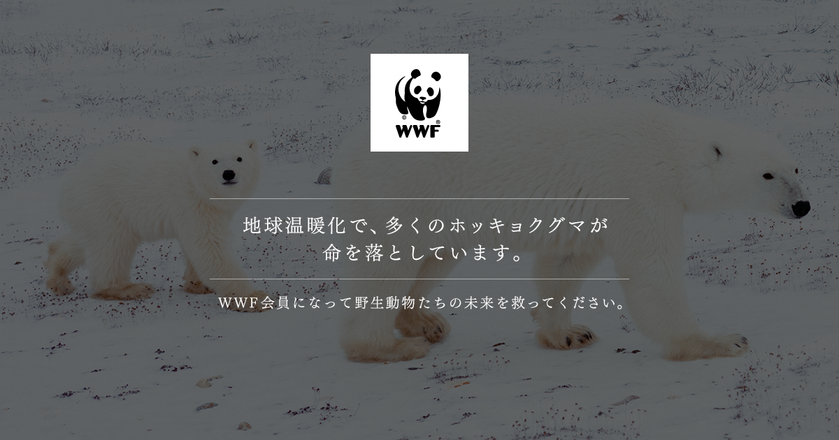 ホッキョクグマ残りおよそ26 000頭 Wwfジャパン