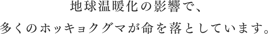 地球温暖化の影響で、多くのホッキョクグマが命を落としています。