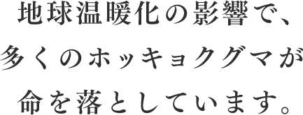 地球温暖化の影響で、多くのホッキョクグマが命を落としています。