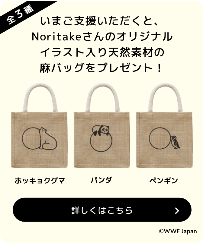 いま入会していただくとイラストレーター・Noritake氏オリジナルイラスト入り天然素材の麻バッグがもらえる！ 詳しくはこちら