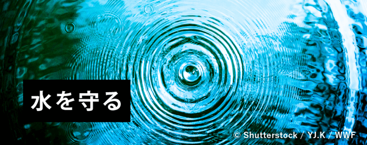 水を守る © Shutterstock / YJ.K / WWF