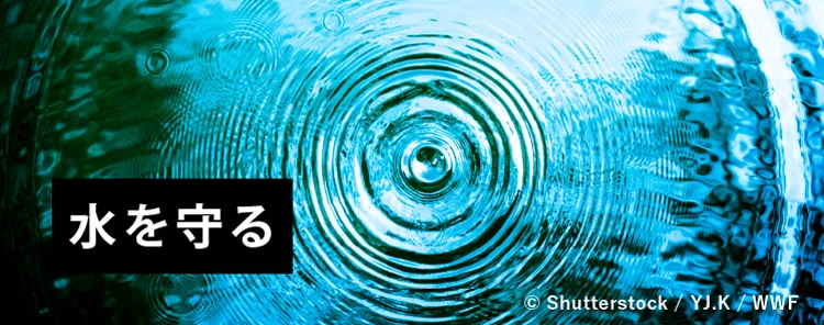 水を守る © Shutterstock / YJ.K / WWF