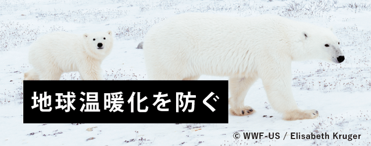温暖化を防ぐ © WWF-US / Elisabeth Kruger