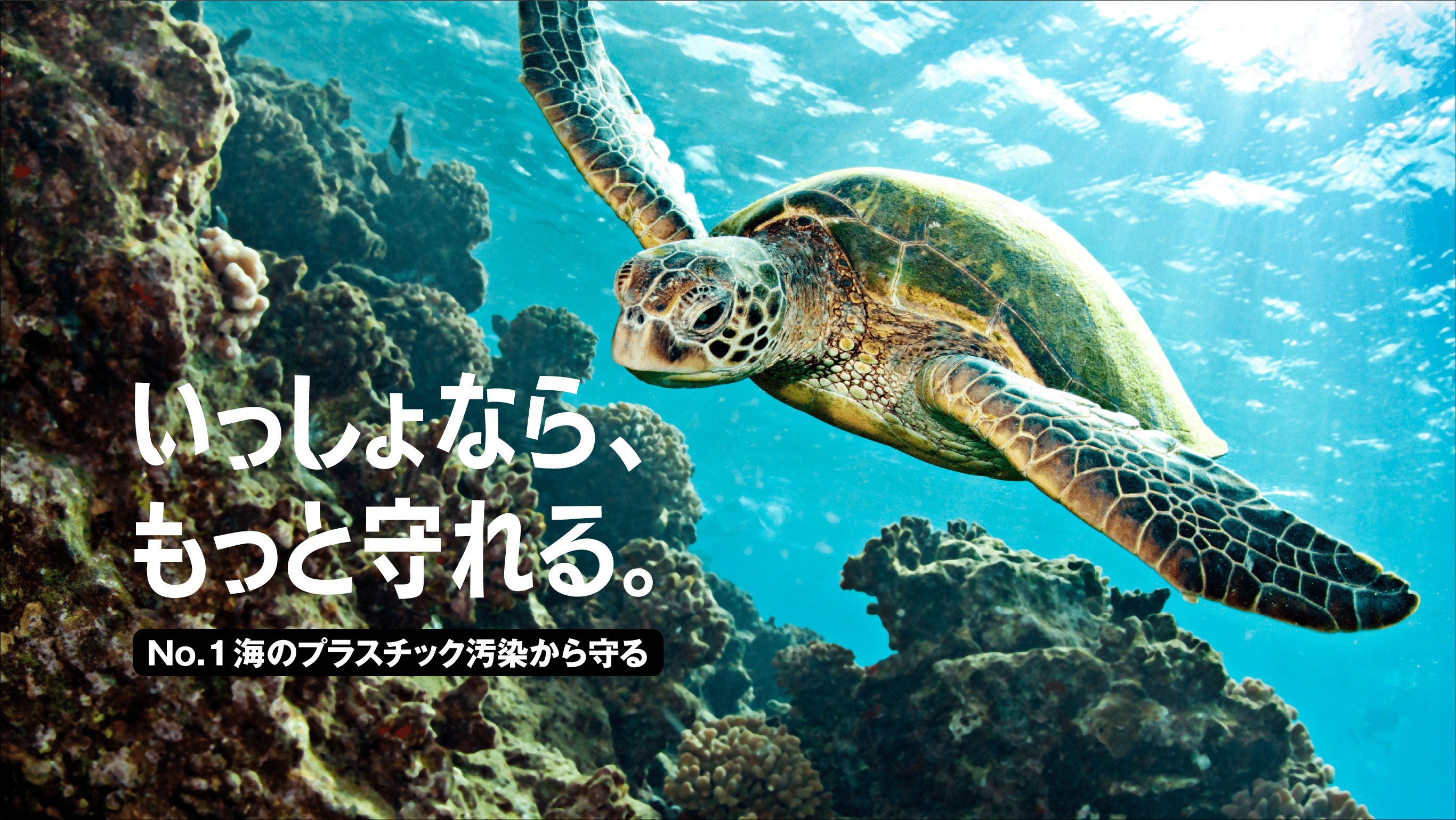 © lstockphoto.com / WWF