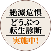 絶滅危惧どうぶつ転生診断実施中！