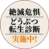 絶滅危惧どうぶつ転生診断実施中！