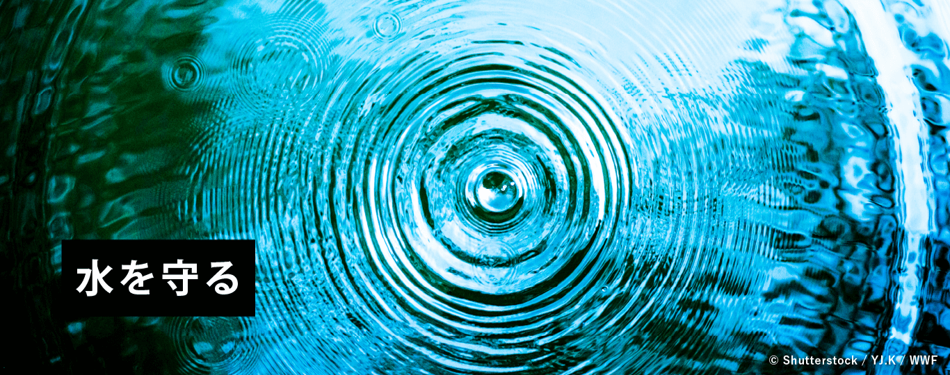 水を守る © Shutterstock / YJ.K / WWF