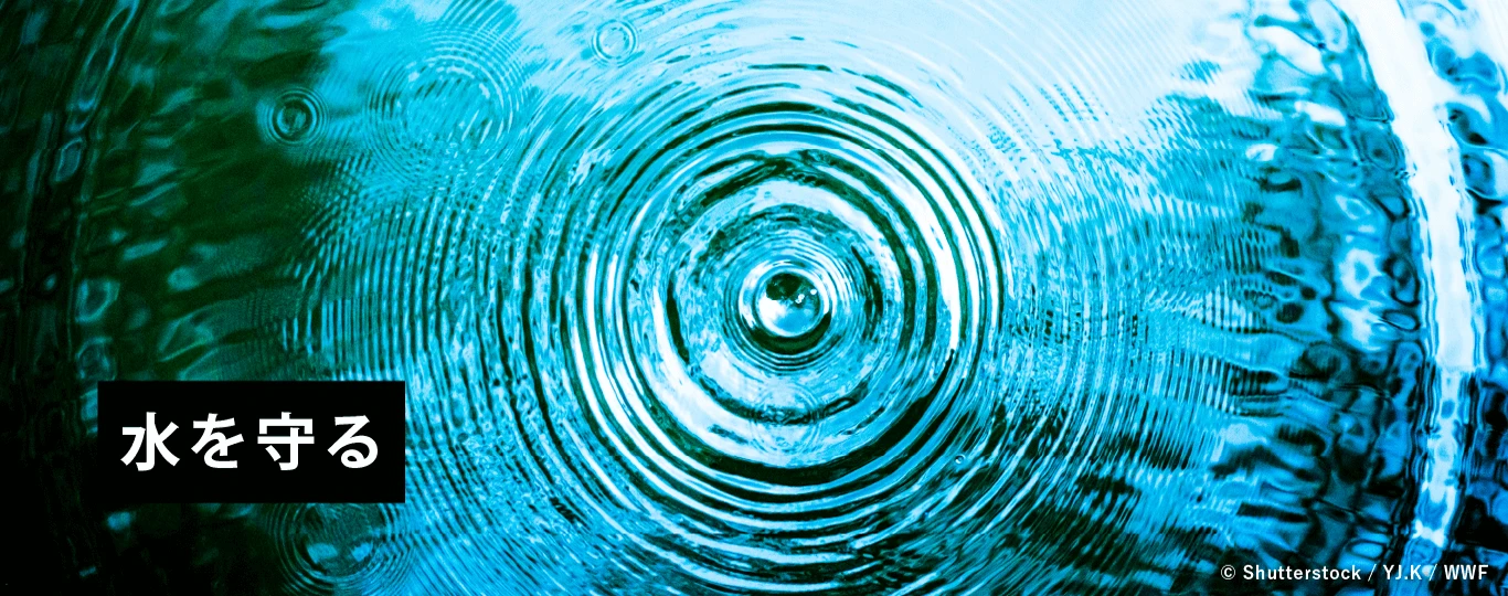 水を守る © Shutterstock / YJ.K / WWF