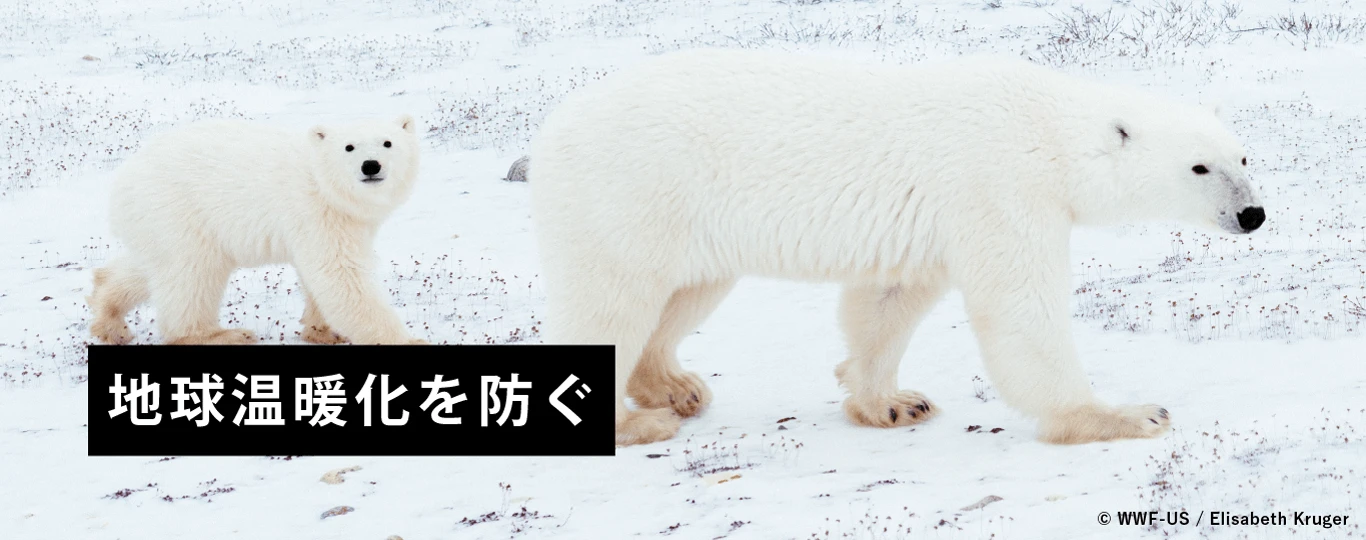 温暖化を防ぐ © WWF-US / Elisabeth Kruger