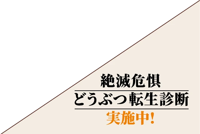 絶滅危惧どうぶつ転生診断実施中！