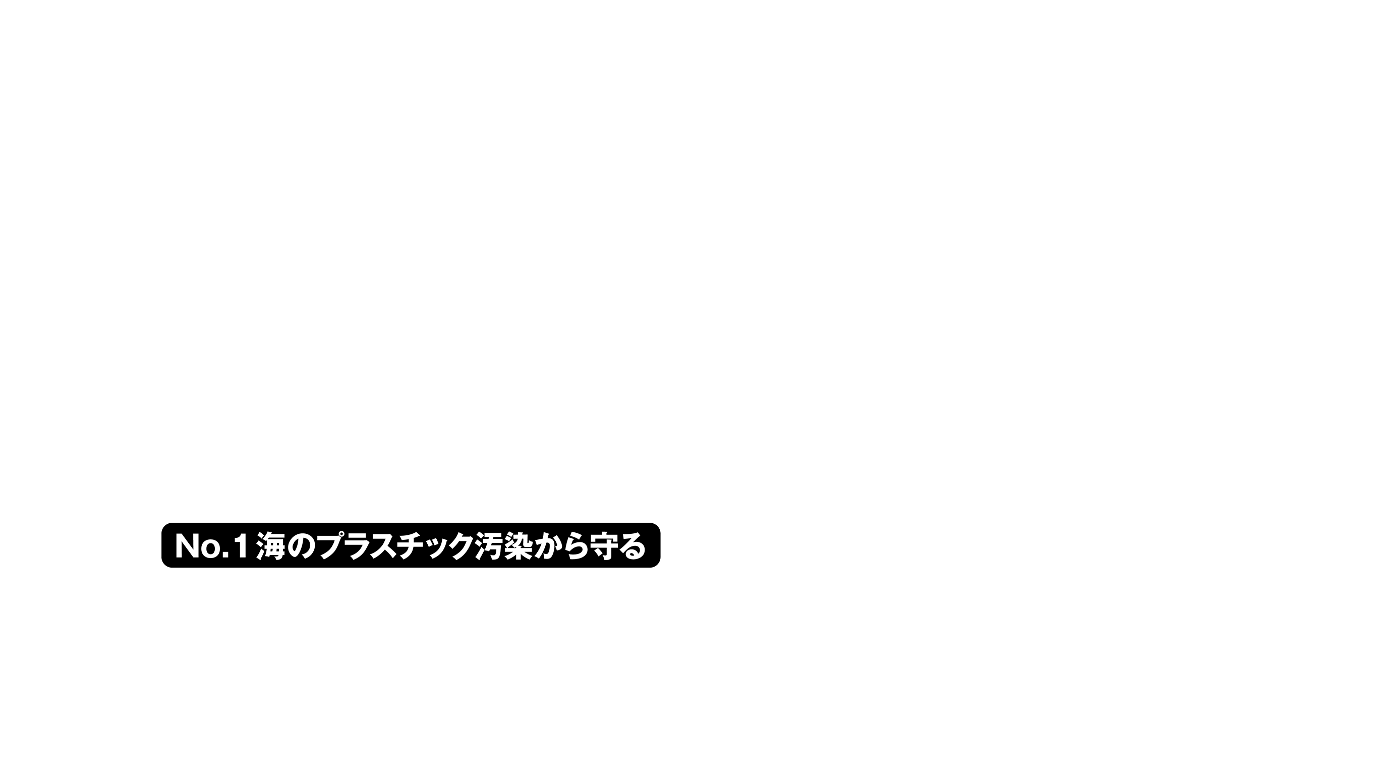 海洋プラスチックから守る