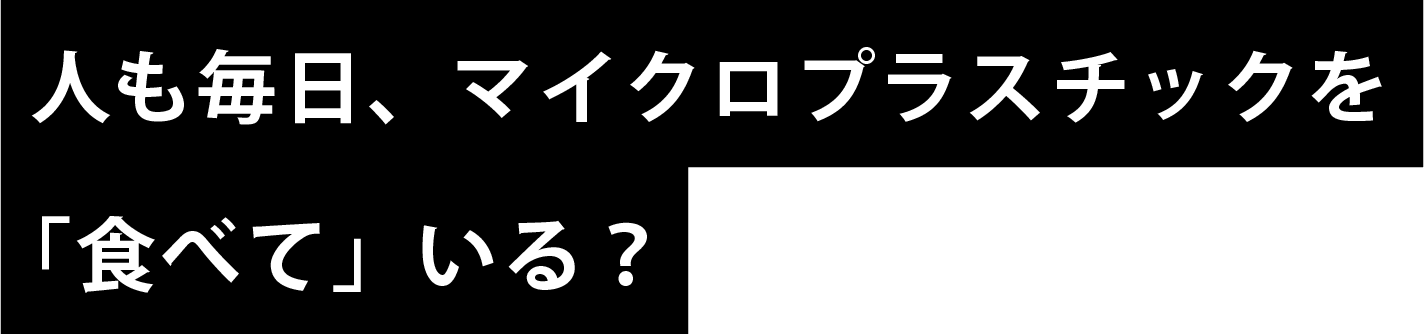 人も毎日、マイクロプラスチックを「食べて」いる？
