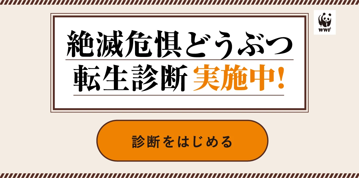 絶滅危惧どうぶつ転生診断実施中！診断をはじめる