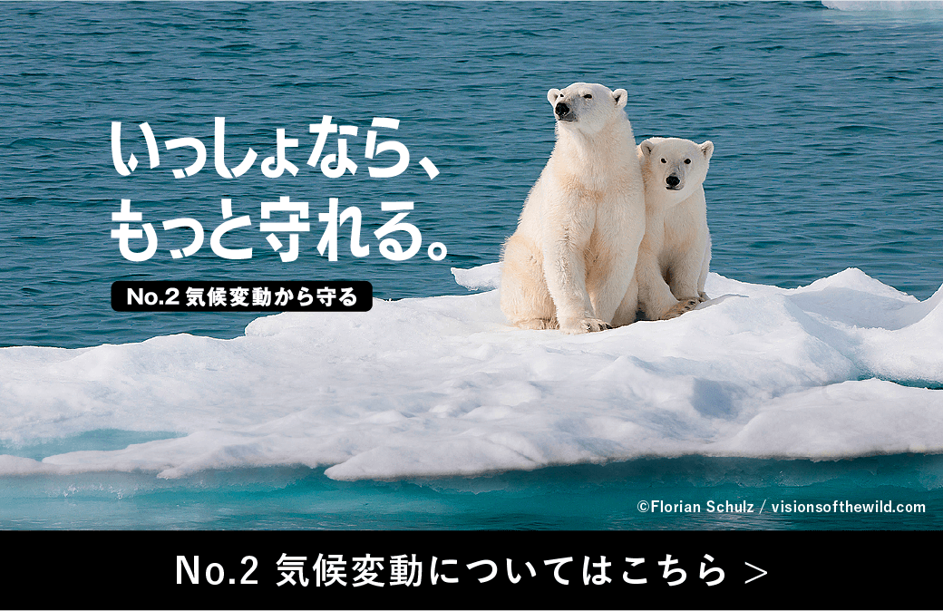 No.2 気候変動についてはこちら