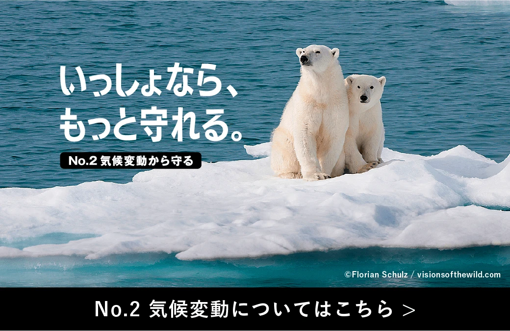 No.2 気候変動についてはこちら