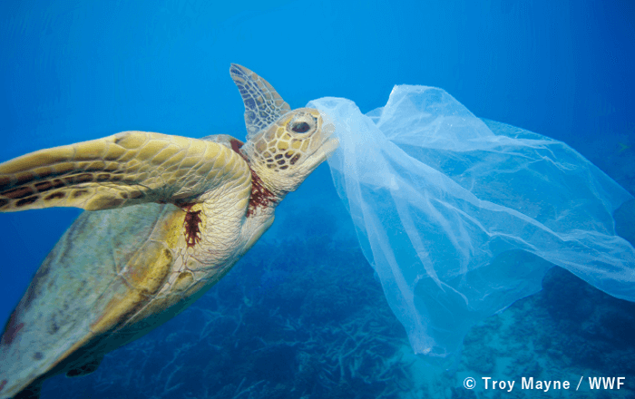 © Troy Mayne / WWF