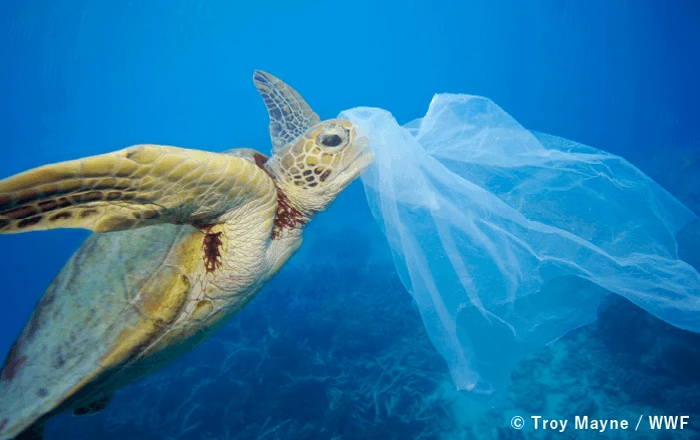 © Troy Mayne / WWF