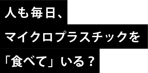 人も毎日、マイクロプラスチックを「食べて」いる？
