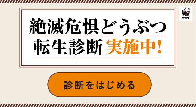 絶滅危惧どうぶつ転生診断実施中！診断をはじめる