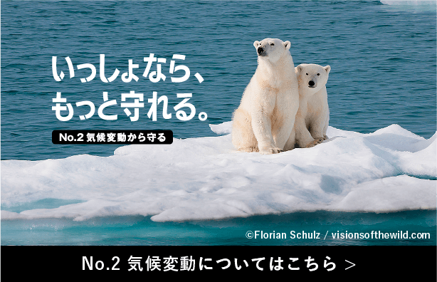 No.2 気候変動についてはこちら