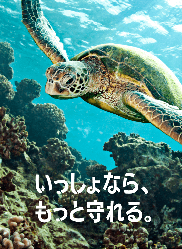 © lstockphoto.com / WWF