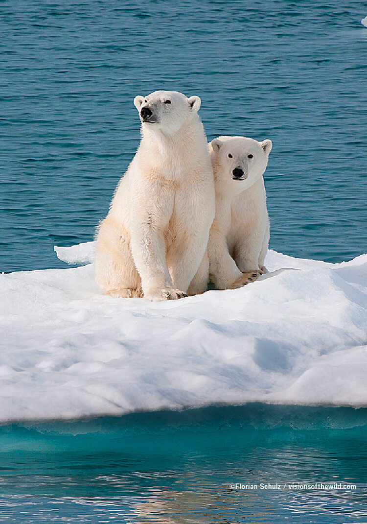 © Istockphoto.com / WWF