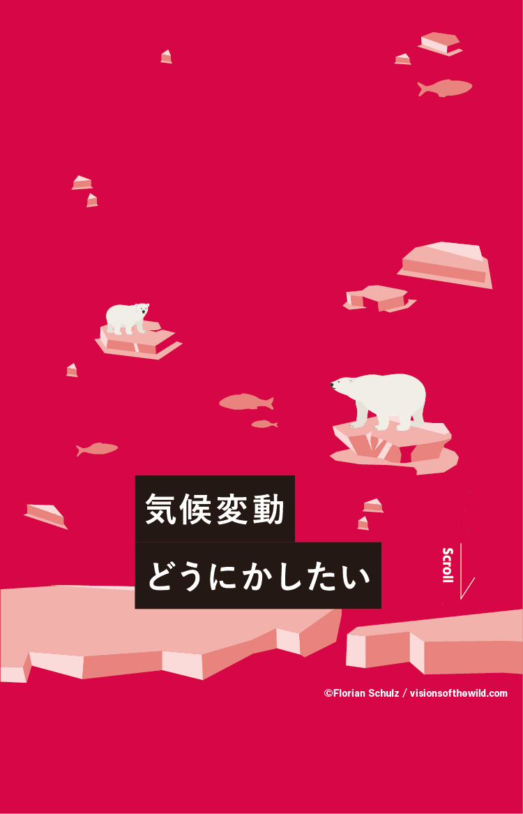 海のプラスチックゴミどうにかしたい