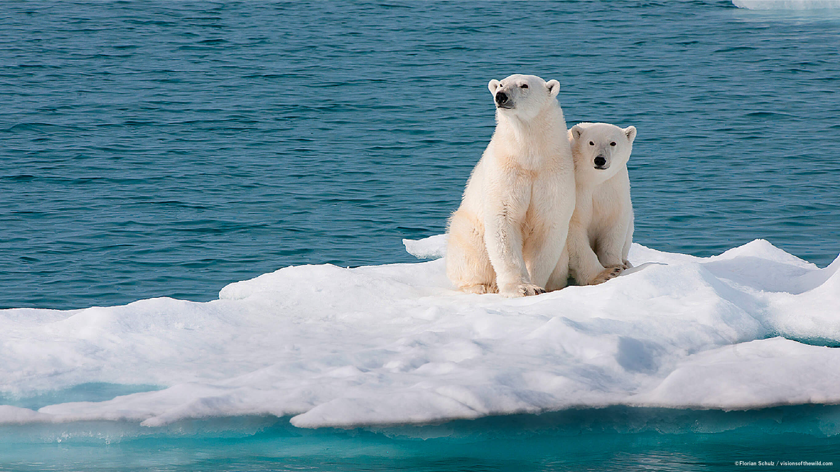 © Florian Schulz / visionsofthewild.com
