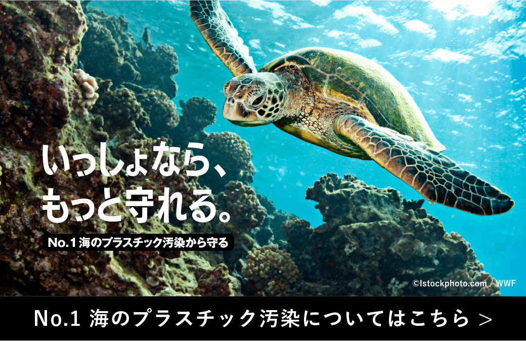 No.1 海のプラスチック汚染についてはこちら