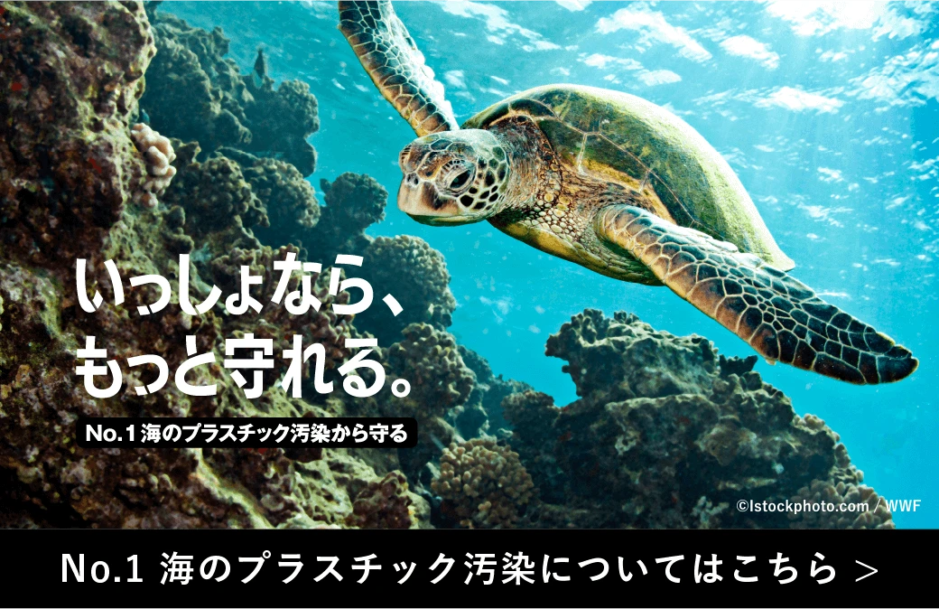 No.1 海のプラスチック汚染についてはこちら