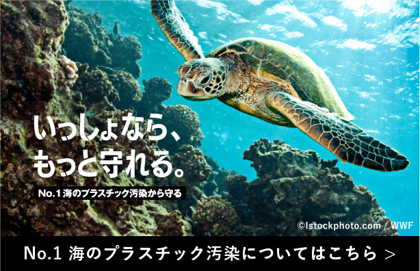 No.1 海のプラスチック汚染についてはこちら