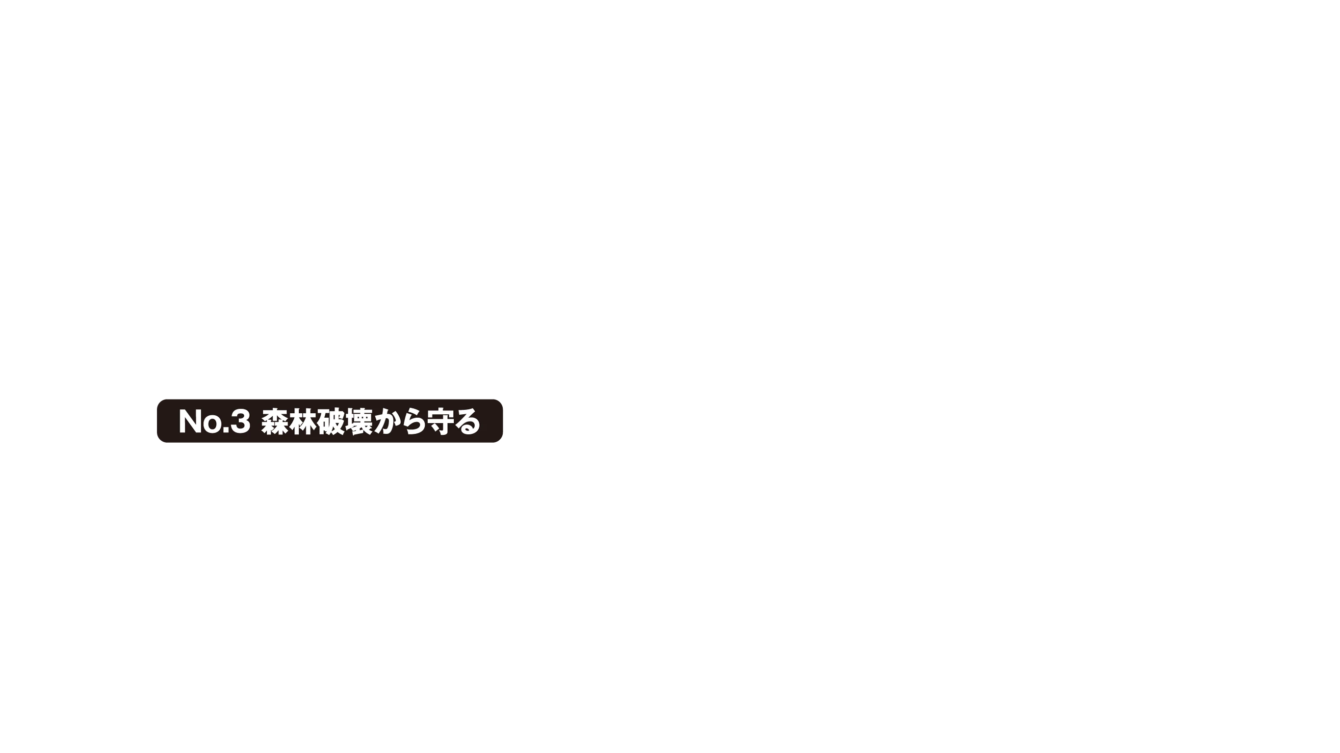 海洋プラスチックから守る