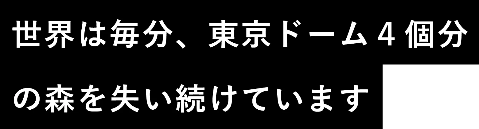 世界は毎分、東京ドーム４個分の森を失い続けています