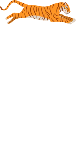 トラの画像