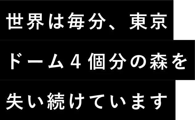 世界は毎分、東京ドーム４個分の森を失い続けています