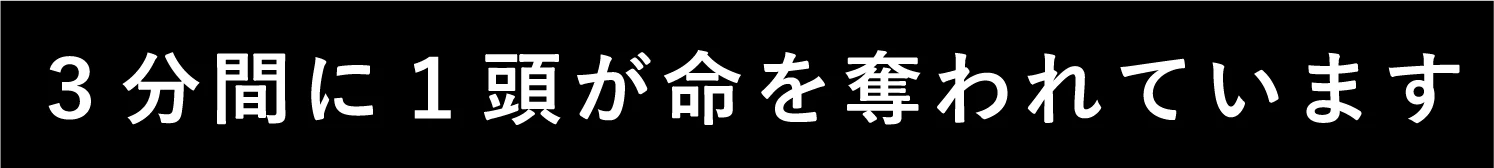 3分間に1頭が命を奪われています