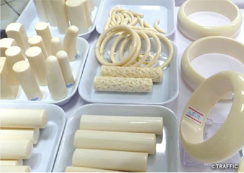 違法な象牙製品