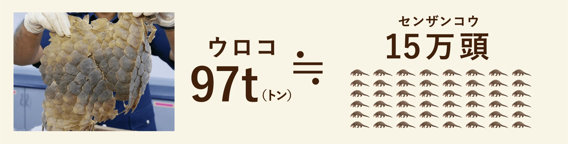 違法狩猟の統計データ
