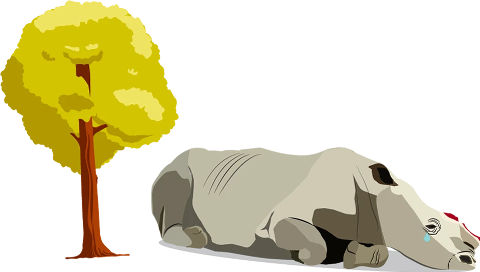 ケガをしているサイ