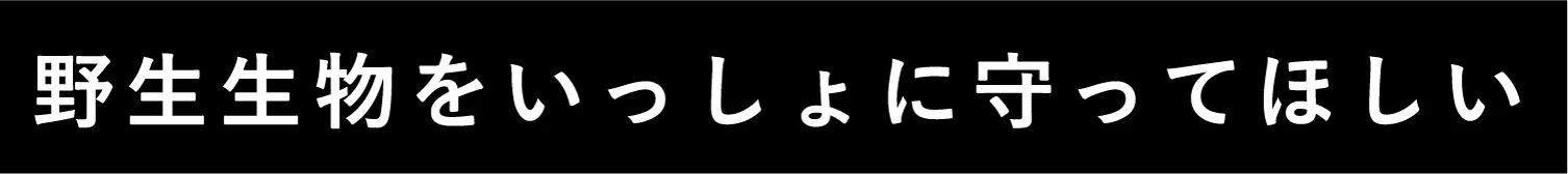 野生生物をいっしょに守ってほしい
