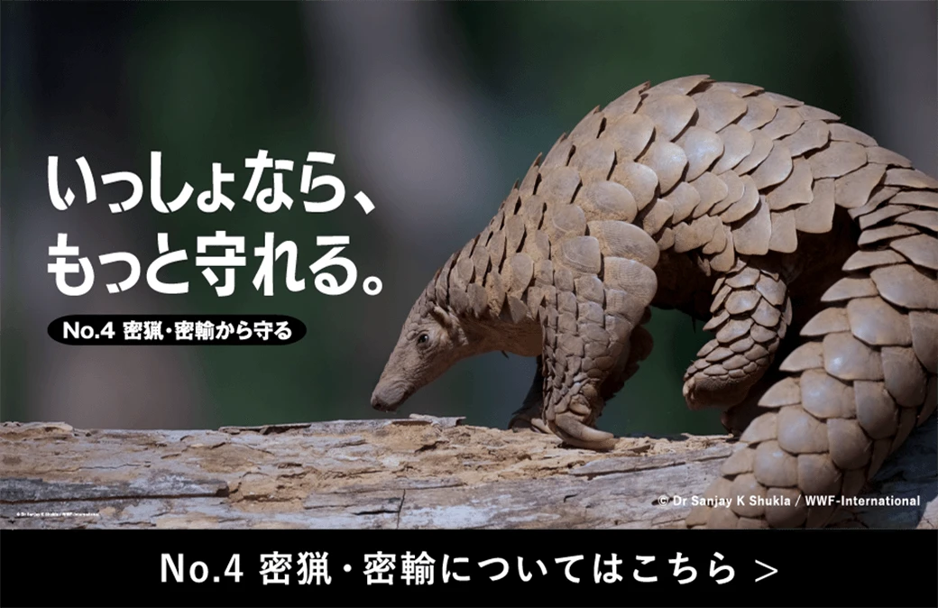 No.4  密猟・密輸についてはこちら
