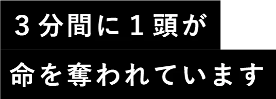 3分間に1頭が命を奪われてい
