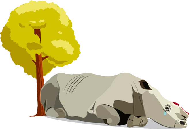ケガをしているサイ