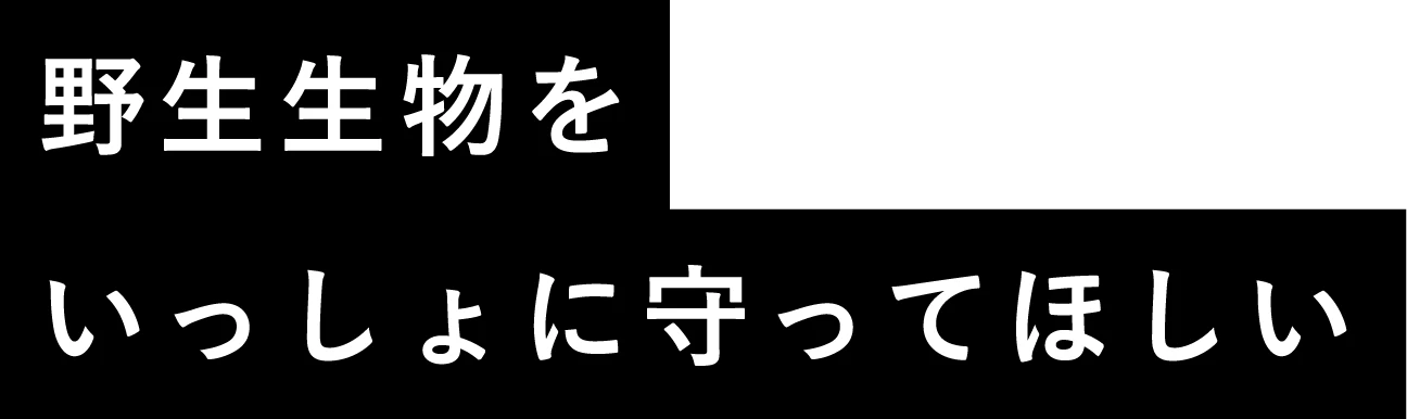 野生生物をいっしょに守ってほしい
